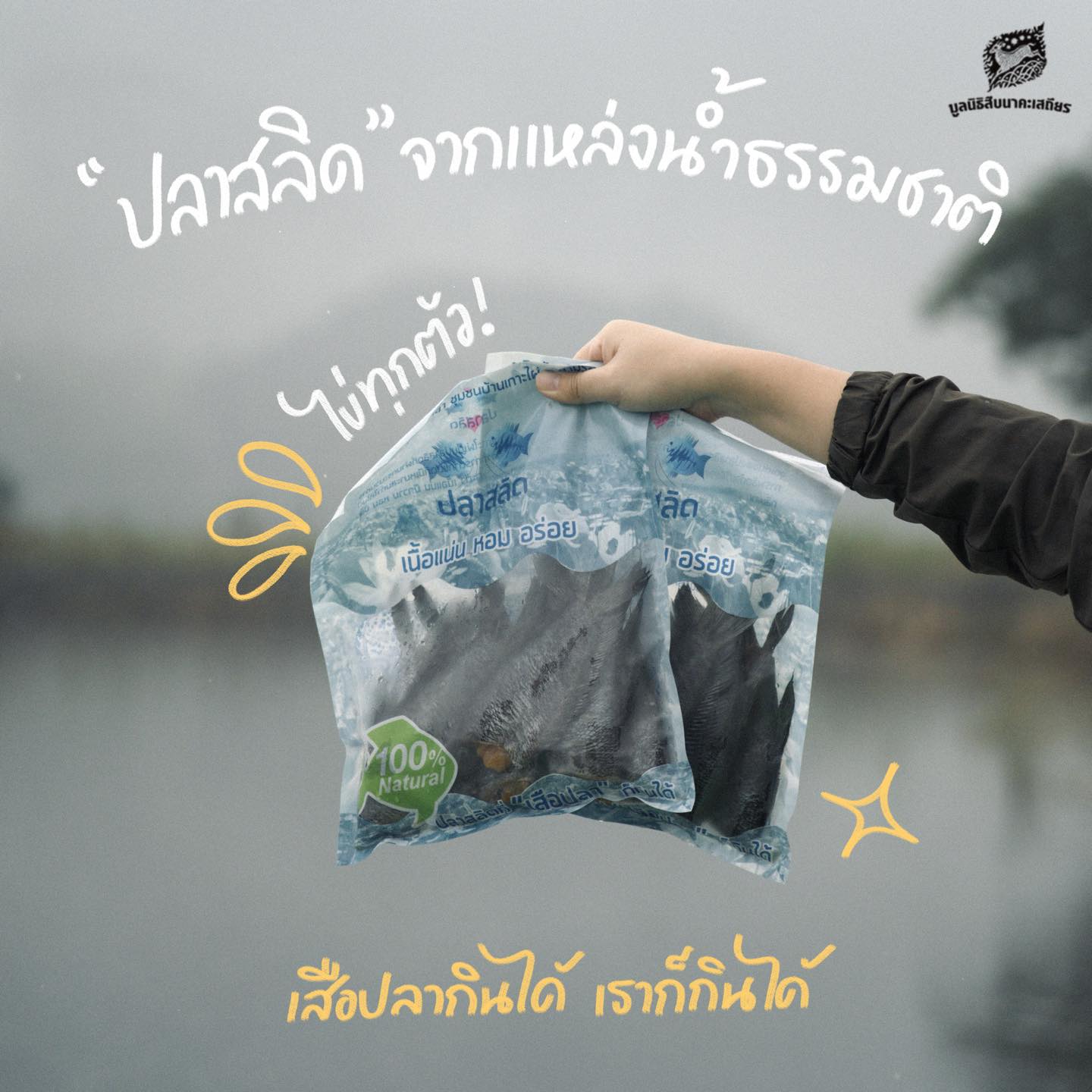 ผลิตภัณฑ์อนุรักษ์เสือปลา ปลาสลิดแดดเดียว ผลิตภัณฑ์อนุรักษ์เสือปลา ปลาสลิดแดดเดียว