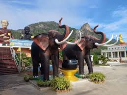 images (14)