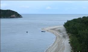 images (20)