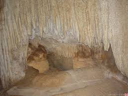 images (25)
