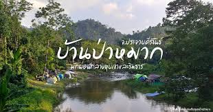<font dir="auto" style="vertical-align: inherit;"><font dir="auto" style="vertical-align: inherit;">บ้านป่าหมากสามร้อยยอด</font></font> images (29)